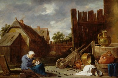 Un gatto curato da una vecchia donna da David Teniers the Younger