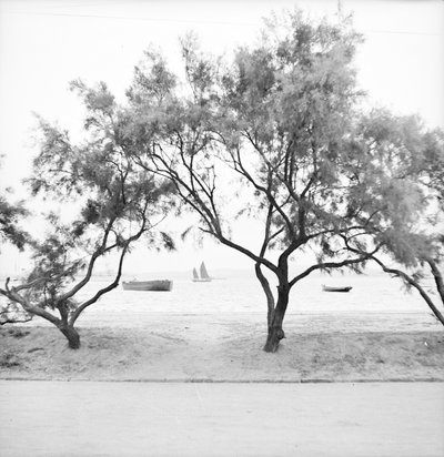 Guardando verso il mare dal bund a Weihaiwei da David Watkin Waters