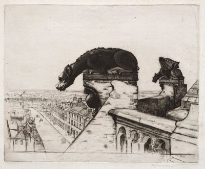 La Chimera Senza Ali da David Young Cameron
