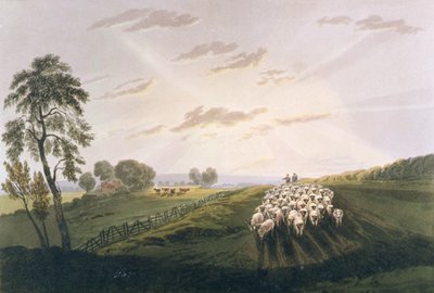Pomeriggio, Una Vista nel Surrey, illustrazione da A Treatise on Landscape Painting and Effect in Water Colours, 1841 da David after Cox