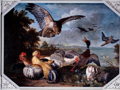 Uccelli spaventati da un