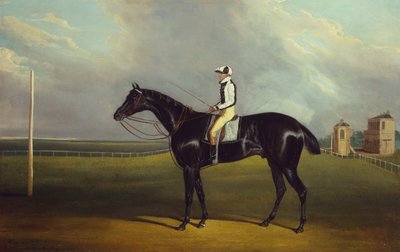 Il "Jerry" di Mr R.O. Gascoigne con B. Smith al Doncaster Racecourse da David of York Dalby