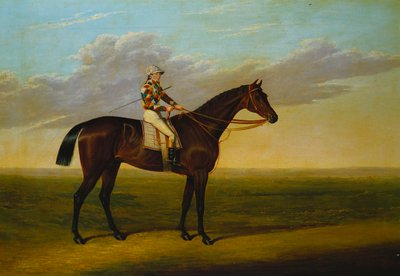 Il cavallo da corsa baio di Mr Richard Watt "Rockingham" con Sam Darling in sella, su un ippodromo da David of York Dalby