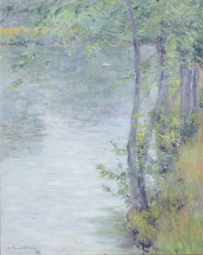 Mattina presto sul Farmington da Dawson Dawson Watson