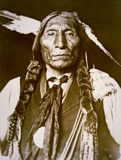 Wolf Robe (n.1841) da DeLancey W. Gill