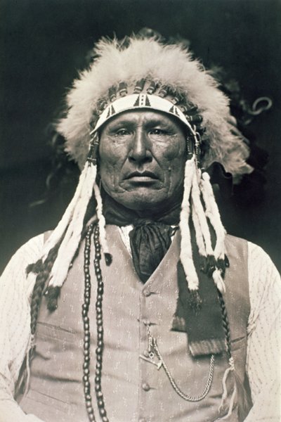 Gamba di legno, guerriero dei Cheyenne del Nord che combatté nella battaglia di Little Bighorn nel 1876 da DeLancey W. Gill