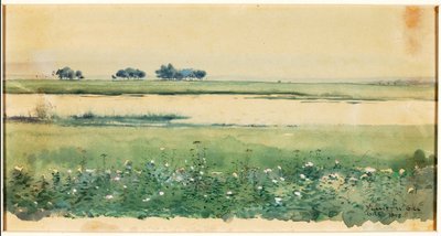 (Paesaggio con paludi) da De Lancey Gill