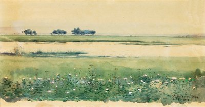 Paesaggio con paludi, 1898 da De Lancey Gill