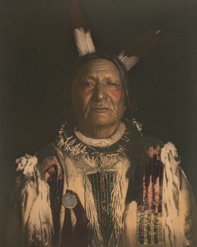 Non ha paura del Pawnee--Capo Sioux Yanktonai da De Lancey Gill