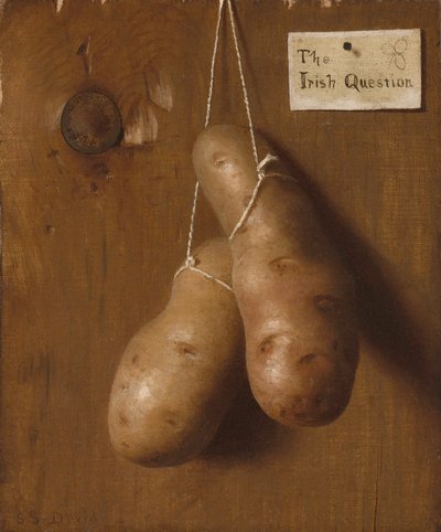 La questione irlandese, 1880 da De Scott Evans