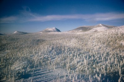 Siberia in paesaggio invernale su paludi e foreste coperte di neve da Dean Conger