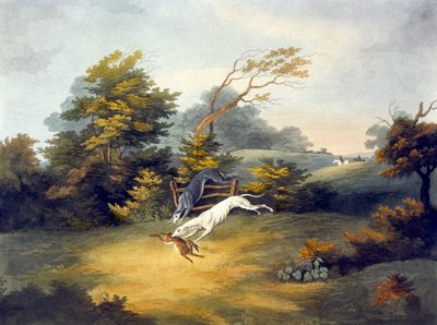 Caccia alla lepre, tavola 4, inciso da R.G. Reeve da Dean Snr. (after) Wolstenholme