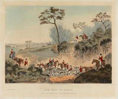 [Caccia alla volpe] serie di quattro: (4) Volpe in tana / Vista di Popes Pit, vicino a Walton Heath da Dean Wolstenholme