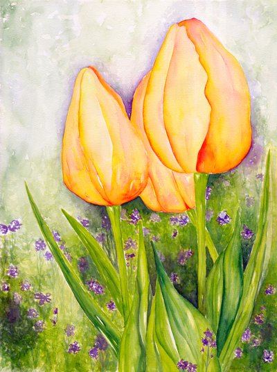 Tulipani gialli, 2006 (acquerello) da Deborah Eve Alastra