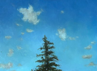 Pino Solitario da Deborah Stevenson