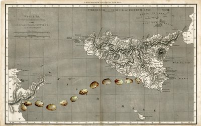 Wonder Atlas - Sicilia da Deirdre Kelly