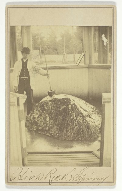 High Rock Spring, c. 1865 da Deloss Barnum
