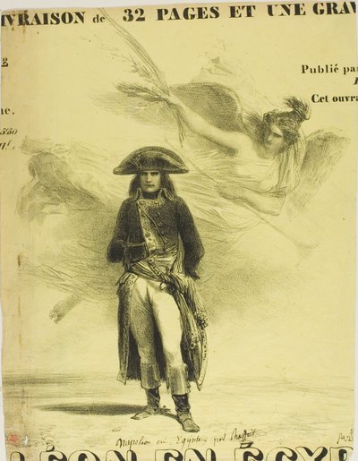 Napoleone in Egitto da Denis Auguste Marie Raffet