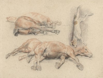 Studi di una carcassa di cavallo e di un cane impiccato da Denis Auguste Marie Raffet