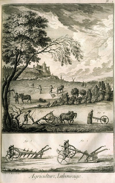 Lavoro nei campi - Agricoltura, semina, aratura. Vari modelli di rulli e aratri: Tavola di un volume di illustrazioni dall