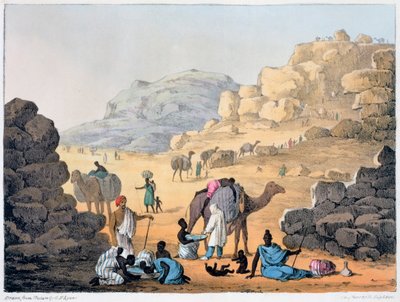Una carovana di schiavi da Denis Dighton