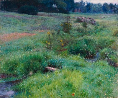 Il Ruscello di Medfield da Dennis Miller Bunker