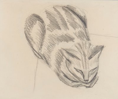 Gatto che dorme da Denton Welch