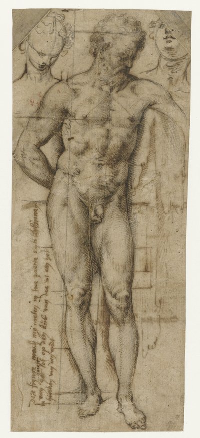 Studio di un Uomo Nudo (Ercole?) e Due Teste di Donne da Denys Calvaert