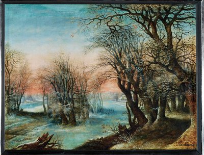 Paesaggio invernale... da Denys van Alsloot