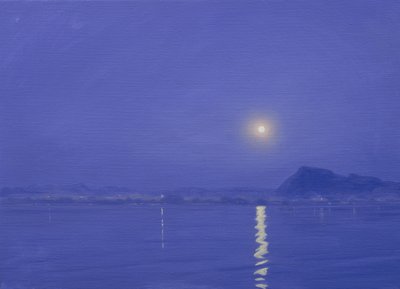 Chiaro di luna su Udaipur da Derek Hare