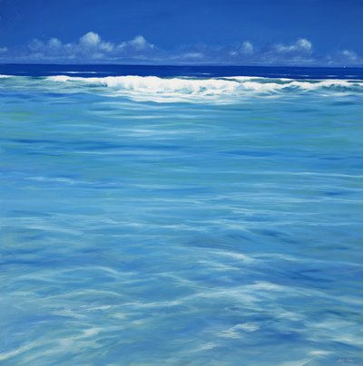 Sopra la barriera corallina da Derek Hare