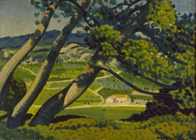 Alberi, Provenza da Derwent Lees
