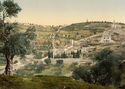 Monte degli Ulivi e Getsemani, vista generale, Gerusalemme, c.1890-c.1900 da Detroit Photographic Co.