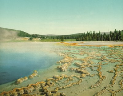 Piscina di Zaffiro, Parco Nazionale di Yellowstone, c.1902 da Detroit Photographic Co.