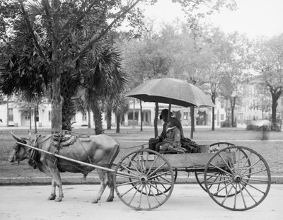 Bovinmobile a Savannah, Georgia da Detroit Publishing Co.