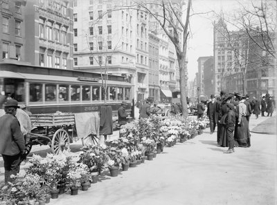 Venditori di fiori, esposizione di Pasqua, New York City, USA, c.1904 da Detroit Publishing Co.