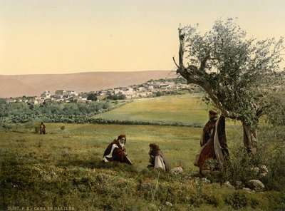 Veduta generale, Cana di Galilea, Terra Santa, 1890-1900 circa (stampa fotocromatica) da Detroit Publishing Co.