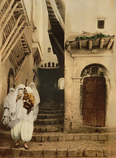 Strada dei cammelli, Algeri, c.1899 da Detroit Publishing Co.