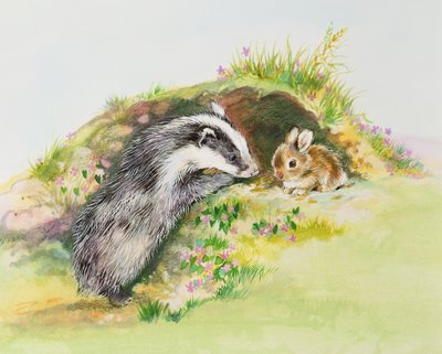 Tasso e coniglio da Diane Matthes