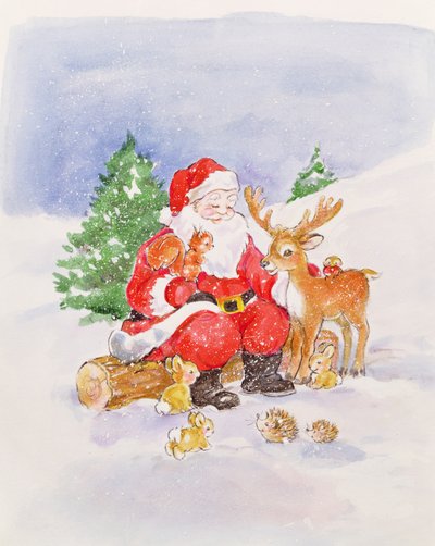 Babbo Natale e Amici da Diane Matthes
