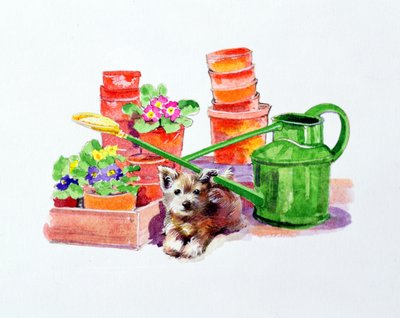 Terrier tra vasi di terracotta da Diane Matthes