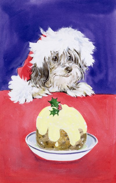 Il Budino di Natale da Diane Matthes