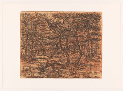 Paesaggio boschivo da Dick Ket (signed by artist)
