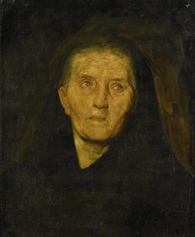 La vedova in lutto da Diederik Franciscus Jamin