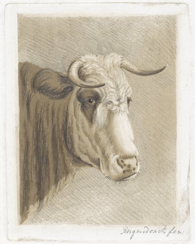 Koekop da Diederik Jan Singendonck (signed by artist)