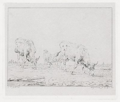 Mucche al pascolo da Diederik Jan Singendonck