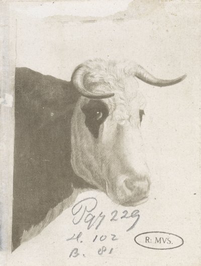 Koekop da Diederik Jan Singendonck