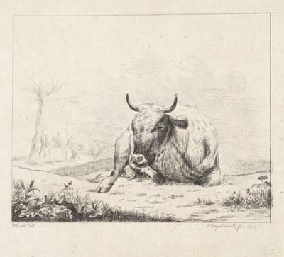 Mucca sdraiata da Diederik Jan Singendonck