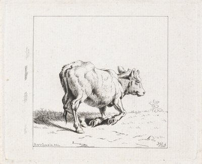 Vitello che si alza da Diederik Jan Singendonck
