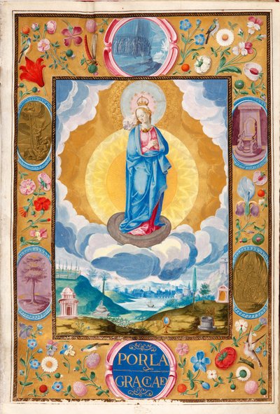 Immacolata Concezione nella Carta Esecutiva della cavalleria di Arias Pardo de Cela da Diego Gómez